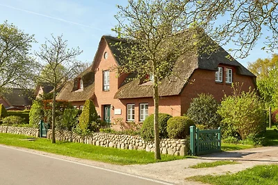 Vakantiehuis Ontspannende vakantie Oevenum