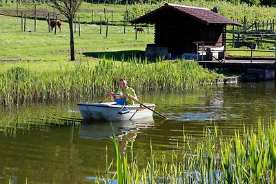 Appartamento Vacanza con famiglia Lehrensteinsfeld