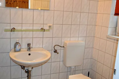 Grauer Esel E5