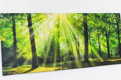 Ferienhaus Moorgeist