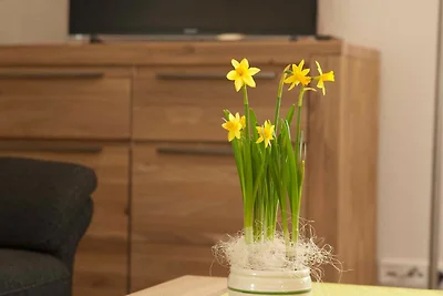 Ferienwohnung Vanda