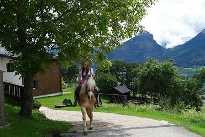 Vakantieappartement Gezinsvakantie St. Wolfgang