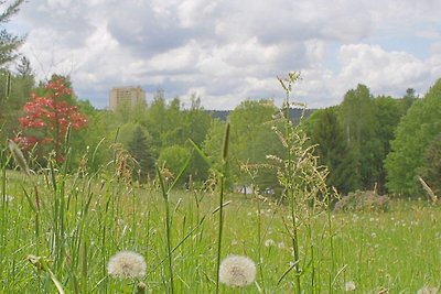 Vakantieappartement Gezinsvakantie Hohegeiß