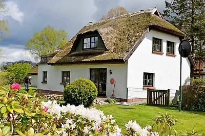 Ferienwohnung unterm Reetdach in Woorke