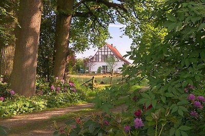 Ferienhaus Anton Schmitz Anno 1895