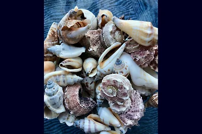 Ferienwohnung Willkommen Glückstadt