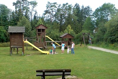 LTD-03 Holzblockhaus mit SW-Terrasse für 4 P.