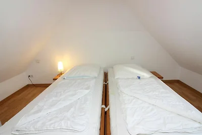 Albergo Cultura ed escursioni Butjadingen