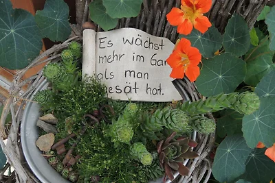 Ferienwohnung 4