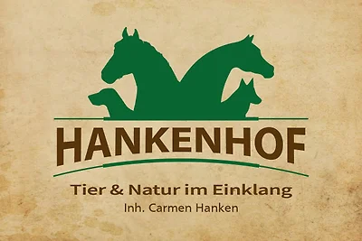 Vakantieappartement Gezinsvakantie Filsum