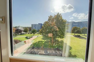 Ferienpark - Haus B, App. 0B0203