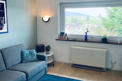 Vakantieappartement Gezinsvakantie Friesenheim