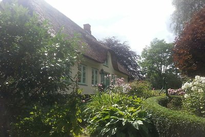 Ferienwohnung Schleikate Nord-Ost