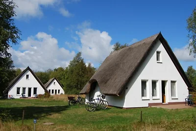 Hotel Cultuur en bezienswaardigheden Hiddensee