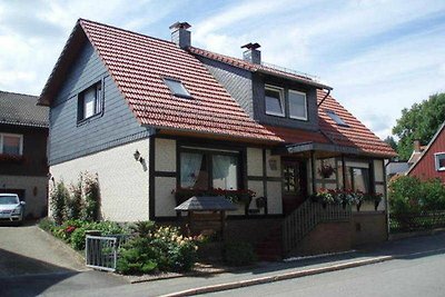 Vakantieappartement Gezinsvakantie Walkenried