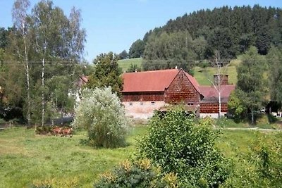 Vakantieappartement Gezinsvakantie Mossautal