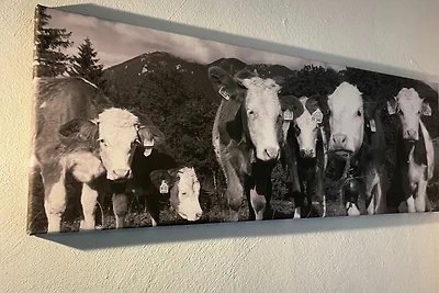 Ferienwohnung Almstüberl