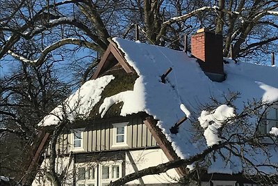 Vakantieappartement Gezinsvakantie Bodstedt