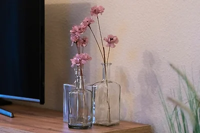 Ferienwohnung Auszeit mit Waldgeflüster