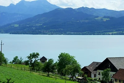 Holiday flat family holiday Weyregg am Attersee