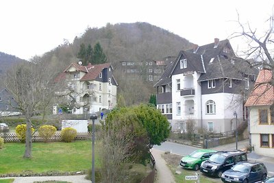 Vakantieappartement Gezinsvakantie Bad Harzburg