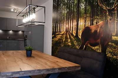 Vakantieappartement Gezinsvakantie Bad Harzburg