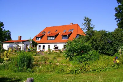 Feuerstein