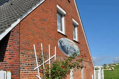 Vakantieappartement Gezinsvakantie Horumersiel