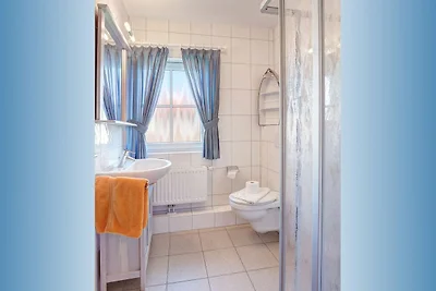 Albergo Cultura ed escursioni Butjadingen