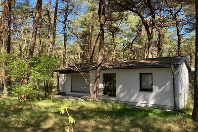 Apartament Dla rodzin Juliusruh