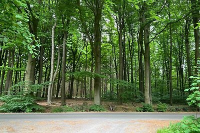 Ferienwohnung am Wald