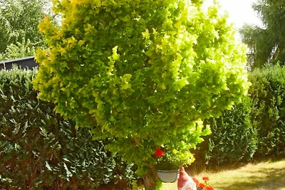 Appartement 3 - 1. OG