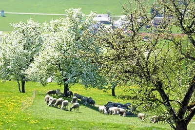 apartman za odmor Obiteljski odmor Altmünster