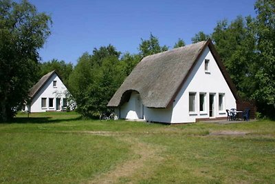 Doppelhaushälfte (Terrasse)