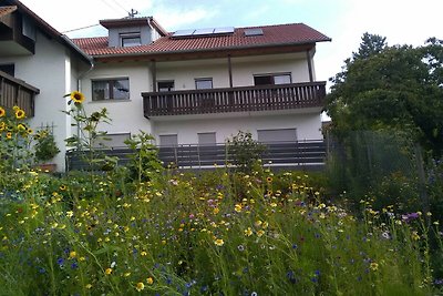 Vakantieappartement Gezinsvakantie Bermatingen