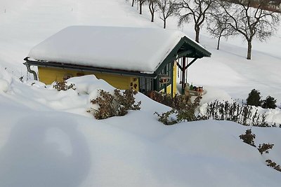 Vakantieappartement Gezinsvakantie Sarleinsbach