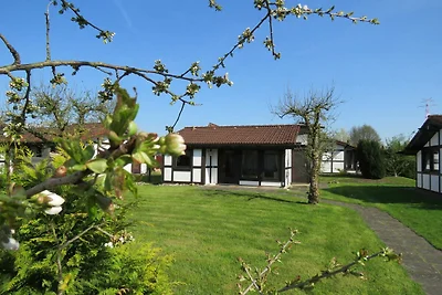 Albergo Cultura ed escursioni Hollern-Twielenfleth