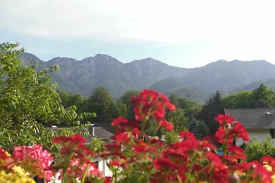 Vakantieappartement Gezinsvakantie Bad Goisern