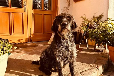 5) FeWo 5-Raum (139m², 8 Pers.