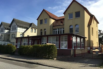 Strandhafer (Vorbau - links )