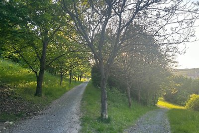 Stadtoase: Park | Netflix | Parken | Kaffee