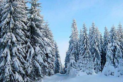 Ahornspitze