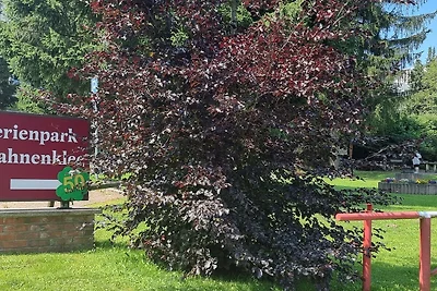Ferienwohnung Waldblick 512