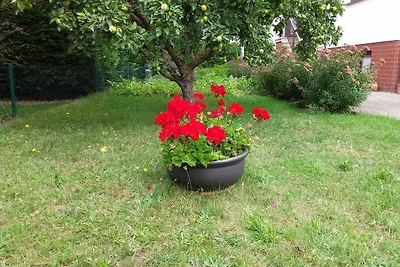 Vakantieappartement Gezinsvakantie Rerik & Umland