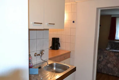 Grauer Esel E4