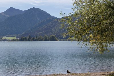 Vakantieappartement Gezinsvakantie Schliersee