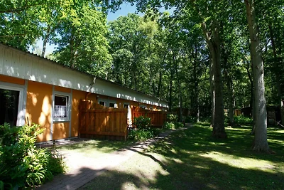 Vakantieappartement Gezinsvakantie Glücksburg