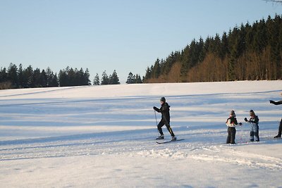 FeWo Mühlennest