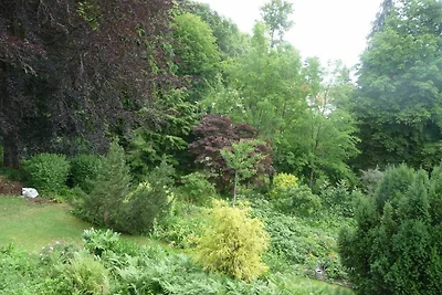 Vakantieappartement Gezinsvakantie Bad Sachsa