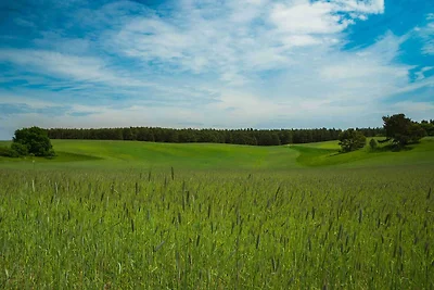 Vakantieappartement Gezinsvakantie Zirchow